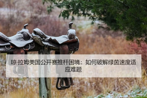 琼·拉姆美国公开赛推杆困境：如何破解绿茵速度适应难题