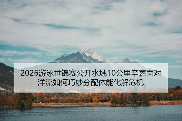 you-yong-shi-jin-sai-gong-kai-shui-yu-gong-li-xin-xin-mian-dui-yang-liu-ru-he-qiao-miao-fen-pei-ti-neng-hua-jie-wei-ji-1-415.jpg